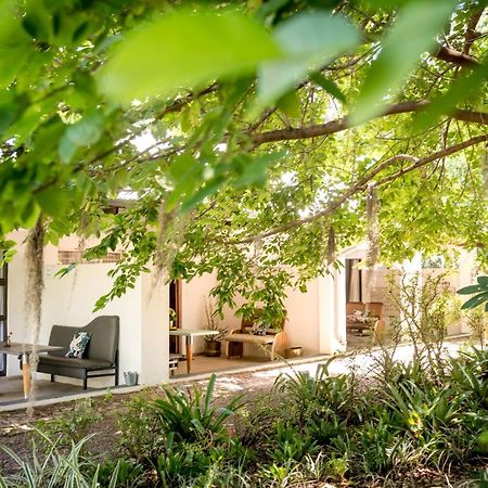 Francines Venue Pty Ltd Bed and Breakfast Hoedspruit Εξωτερικό φωτογραφία