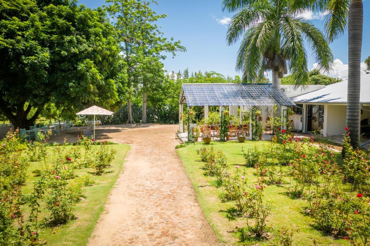 Francines Venue Pty Ltd Bed and Breakfast Hoedspruit Εξωτερικό φωτογραφία